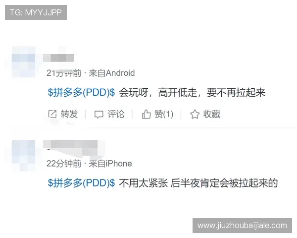 多宝真人国际厅用户评价与口碑分析，真实玩家体验分享与建议